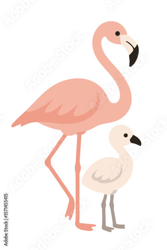 Vector Illustration of a Flamingo with Chick
