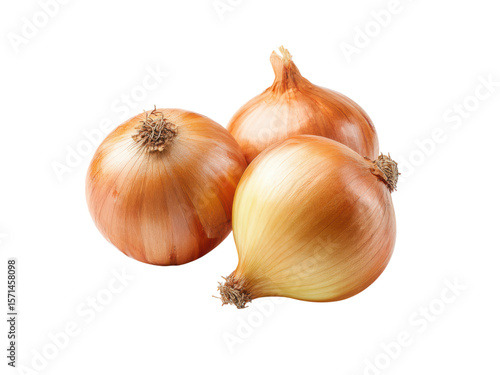 Wallpaper Mural Three golden brown onions with roots on black yellow white, Isolated, Transparent Png Torontodigital.ca