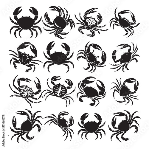 Black and white rose vector set with floral tattoo style elements and decorative design