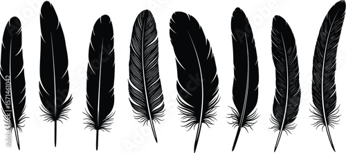 Black bird feathers vector illustration, hand-drawn feather collection, nature-inspired silhouette art, detailed plume sketch set, rustic boho design element