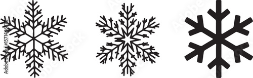 Collection of Intricate Snowflake Illustrations Winter Design Elements