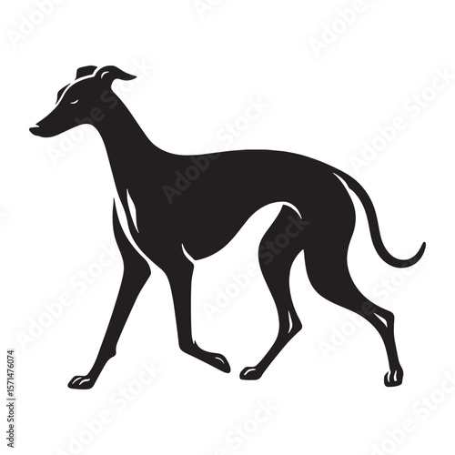 Agile Whippet black vector graphic, reflecting its swift and fluid temperament - Whippet silhouette - Whippet Vector - Silhouette of Whippet - dog silhouette

