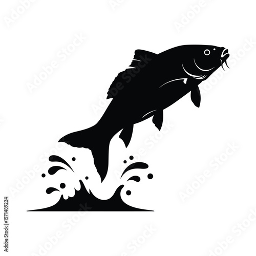 A black silhouette of a carp is jumping out of the water with a splash, isolated on white background