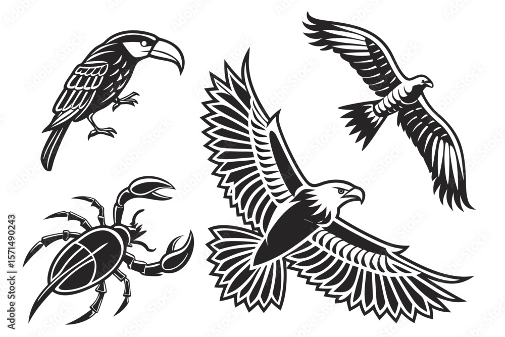Obraz premium Monochrome illustrations of a toucan, eagles, and a scorpion
