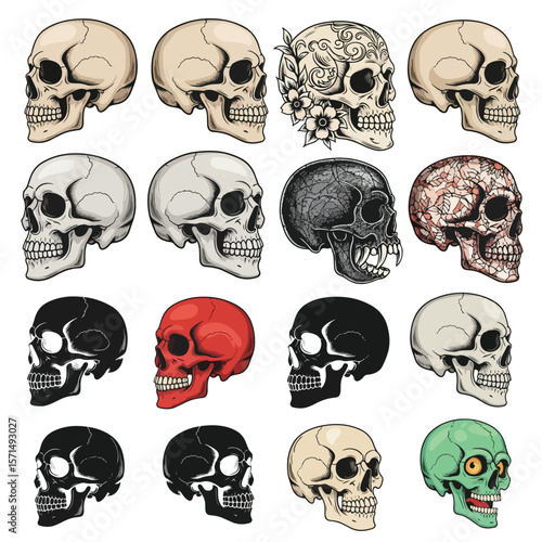 Vector Skull Set – Side View Human Skulls in Realistic, Tattoo, Grunge, and Cartoon Styles