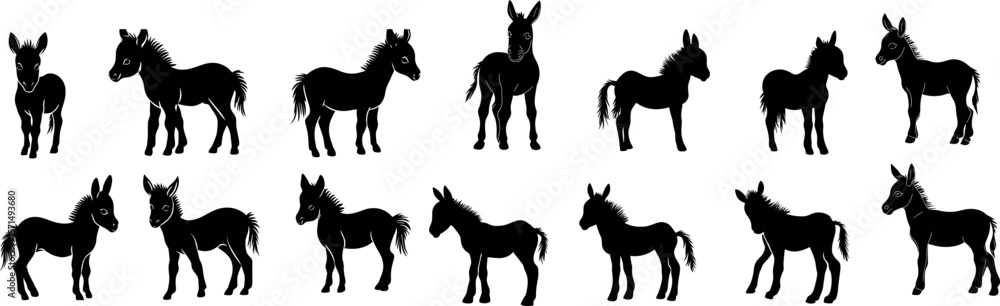 Various silhouettes of donkeys in different standing poses, isolated on white background Various silhouettes of donkeys in different standing poses, isolated on white background