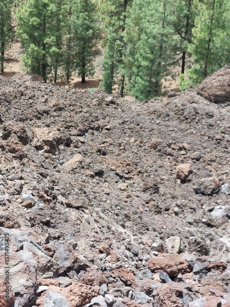 Fototapeta premium Volcano forest