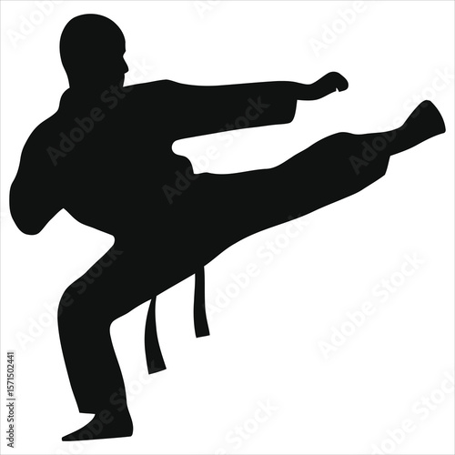 Vector Silhouette of a Karateka Performing a Powerful Kick/A dynamic silhouette of a karateka executing a powerful front kick.