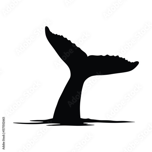 A black silhouette of a whale tail diving into the sea, isolated on white background, representing marine life