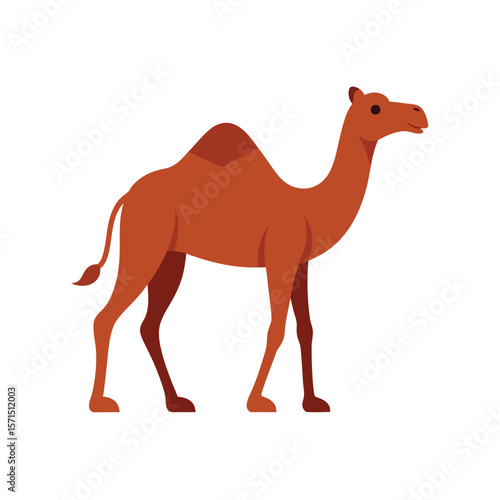 camel-walking-in-profile-view-vector-on-white-back.eps