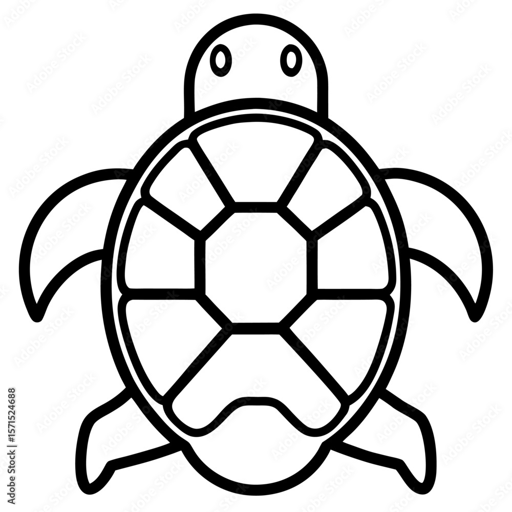 Obraz premium turtle