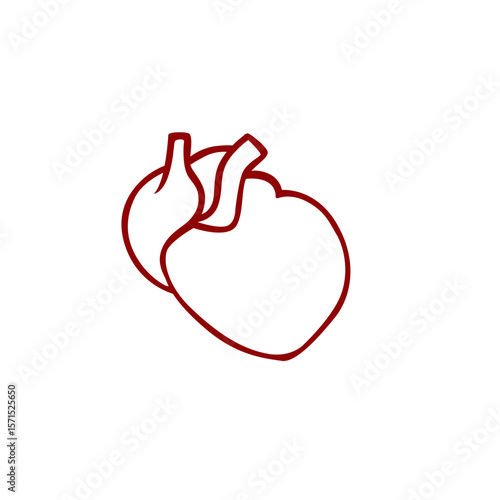 Simple anatomical heart outline using red lines suggests medical knowledge and understanding.
