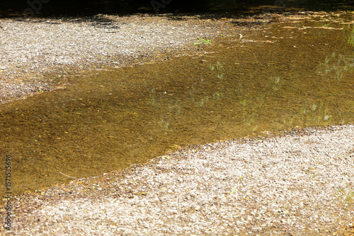 Foto A shallow section of a river with clear water revealing a pebbly bottom