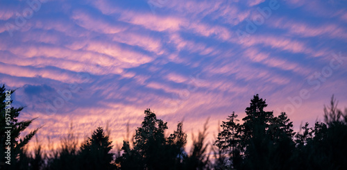 Fototapeta Naklejka Na Ścianę i Meble -  Dramatic evening sky over a forest