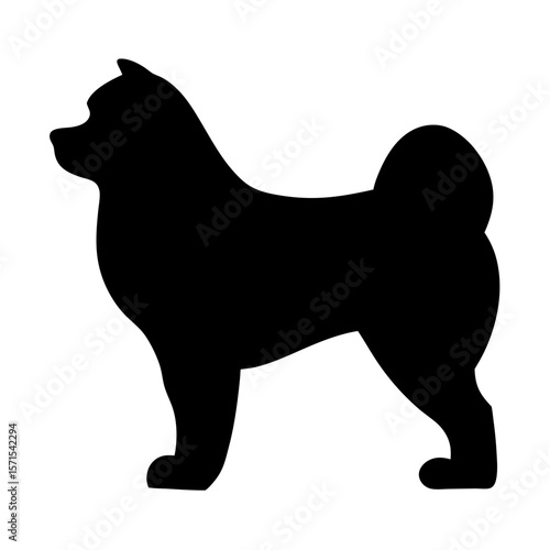 Black silhouette of an Akita dog standing in profile position perfectly