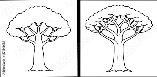 Baobab Tree Coloring Book Page – Outline Line Art Unique African Tree Illustration for Kids and Adults