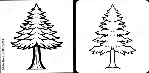 Cedar Tree Coloring Book Page – Outline Line Art Evergreen Tree Illustration for Kids and Adults