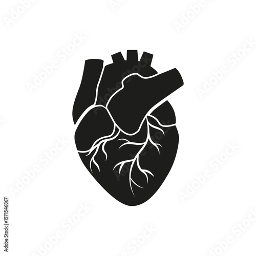 Simple black anatomical heart silhouette showing white arteries branching from its structure.