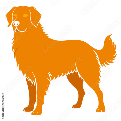 golden retriever dog