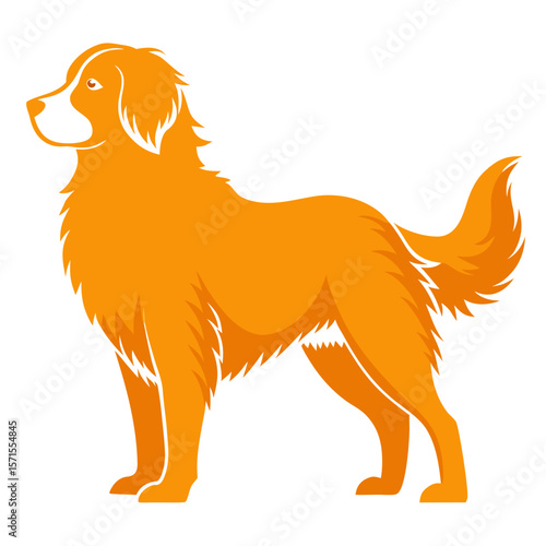 golden retriever dog