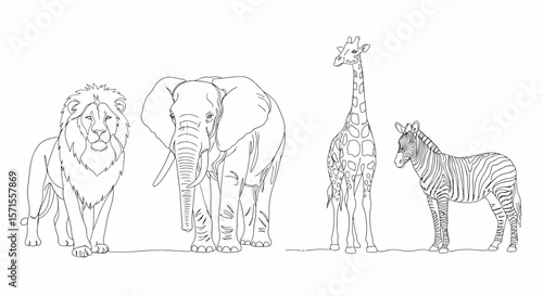 Outlined African Animals Majestic Lion Elephant Giraffe and Zebra.