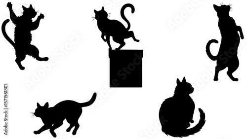 Stylish Silhouette Vector Set of Cats - Jumping, Sitting and Standing Poses