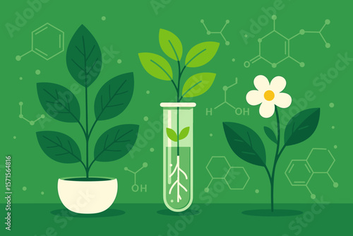 Biology laboratory concept. Plant science and biochemistry research with plants in pot and test tube. Biotechnology and genetics flat vector illustration with chemical formulas.