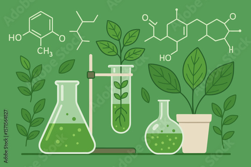 Biology laboratory for plant science. Biochemistry and biotechnology research concept with plants in flasks, test tubes and chemical formula structures. Modern flat vector.