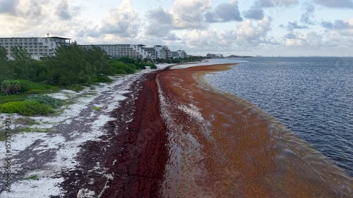 Dramatic Footage of Cancun's paradise coastline invaded by sargassum — showcasing the environmental clash between luxury resorts, mangroves, and ocean pollution.