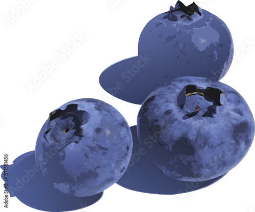 Three ripe blueberries with subtle shadows create a simple yet appealing food illustration