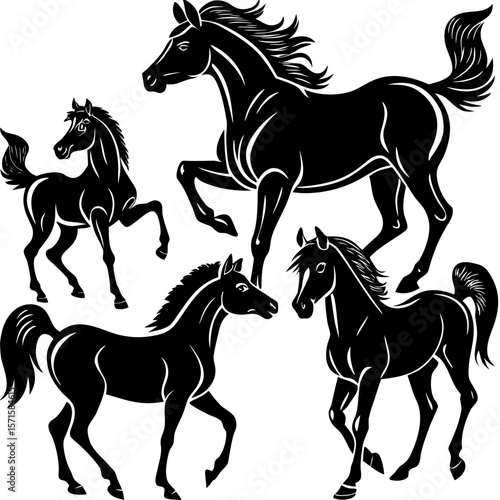 Equine Family Vector Design Stallion Mare Foal and Pony Silhouette Illustration