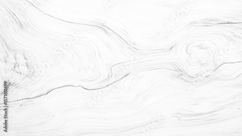 Abstract wooden background. White wood texture with empty space. White wood texture pattern background. 
