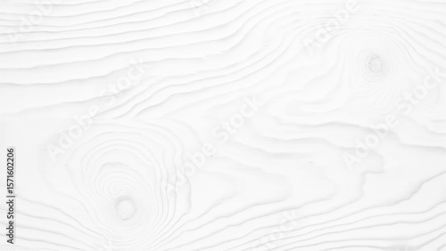Abstract wooden background. White wood texture with empty space. White wood texture pattern background. 