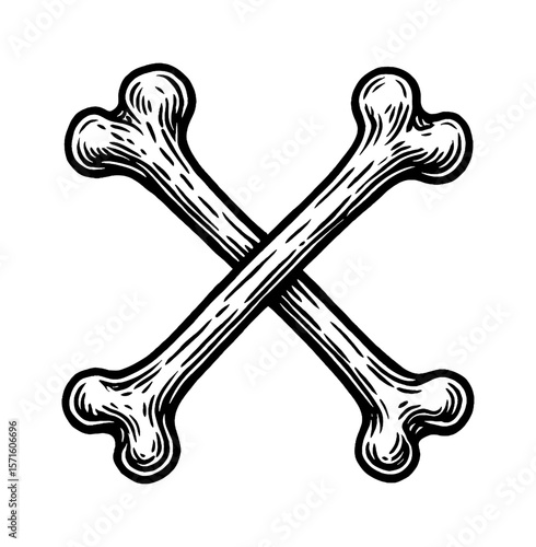 Crossed Bones Vector Illustration in Black and White Style, isolated on white background.