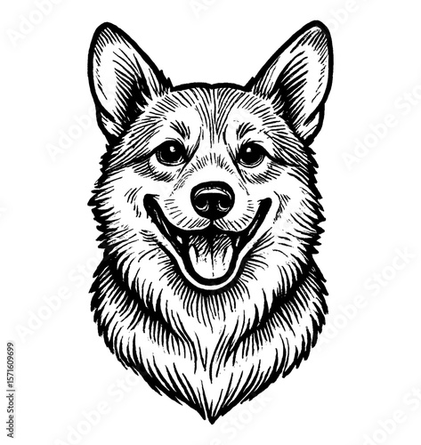 Happy Welsh Corgi Dog Portrait with Open Mouth and Tongue Out in Engraving Style