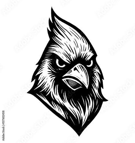 Detailed Black and White Woodcut Style Illustration of a Cardinal Bird Face Close-Up