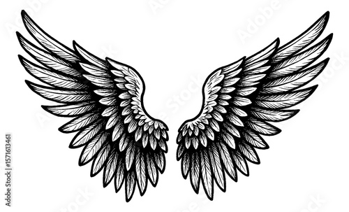 Detailed Vector Illustration of Angel Wings with Feather Texture in Black and White