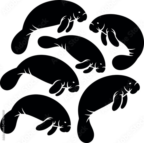 Manatee Herds silhouette on white background