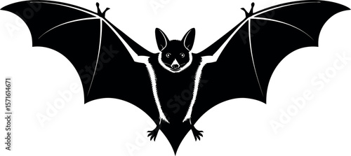 Flying Fox Bats silhouette on white background