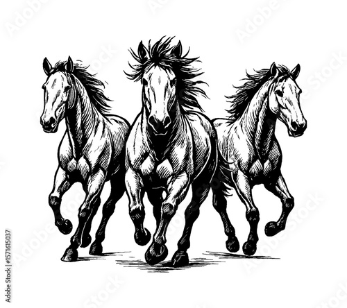 Three Horses Running Together in Black and White Engraved Style Illustration