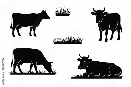 Vector Set of Cows in Different Poses with Grass Silhouettes — Grazing Meadow Animals