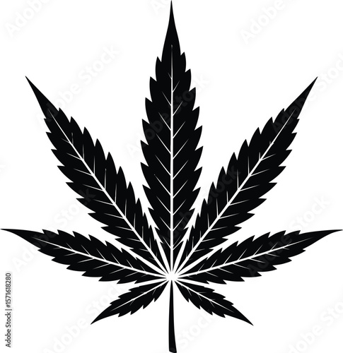 Black Silhouette Cannabis Leaf Vector Illustration