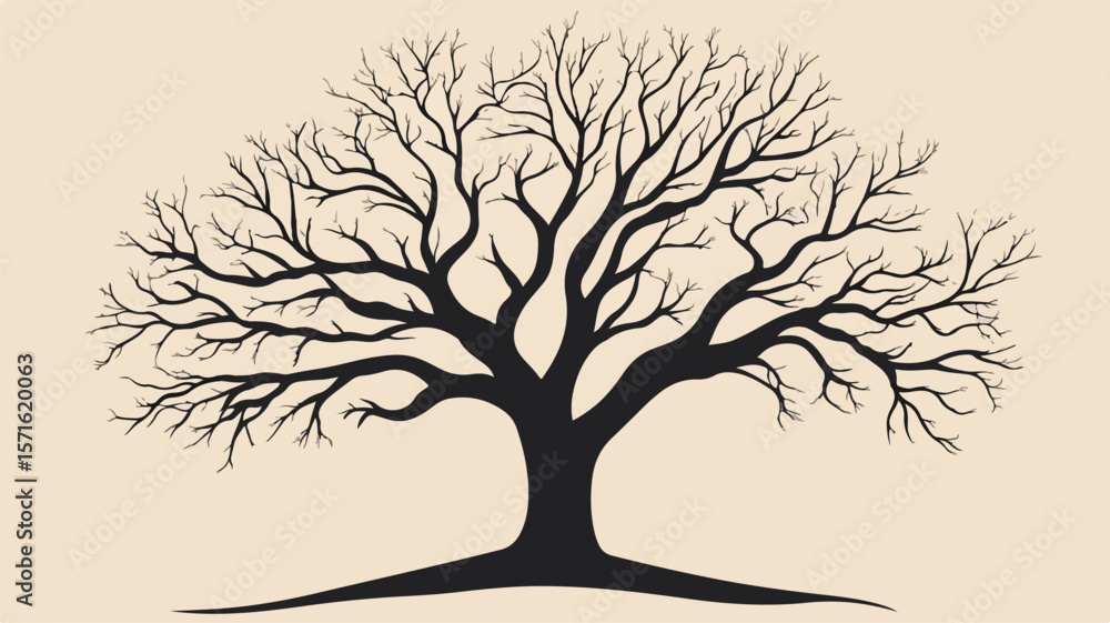 Fototapeta premium Elegant Bare Tree Ornamental Design Cut Out for Creative Projects