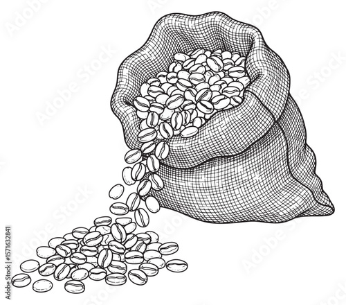 Hand-Drawn Illustration of Coffee Beans Spilling from a Burlap Sack