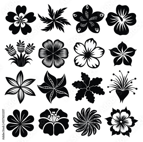 Collection of 25 detailed black and white hibiscus flower illustrations isolated on white background