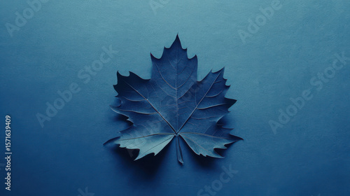 A single blue maple leaf on a textured blue background