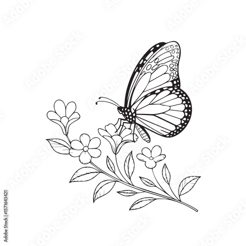 A monarch butterfly delicately perched on a sprig of flowers, captured in a detailed line art illustration against a clean white background