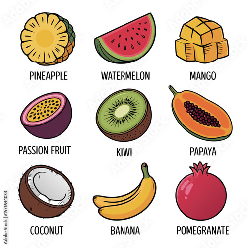 A collection of fresh tropical and common fruits illustrated with labels