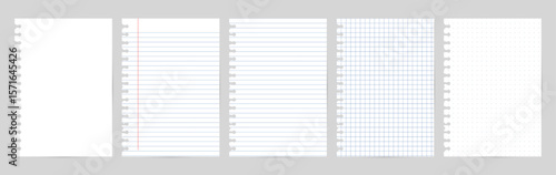 A set of 5 notebook paper templates with soft blue lines and red margin, side punch holes on white background. Includes plain, ruled, grid, dot formats.