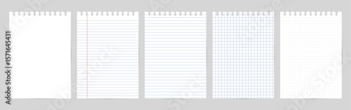 Set of blue-ruled notebook pages with top punch holes. Includes plain, lined, red margin, dot grid, and grid paper.